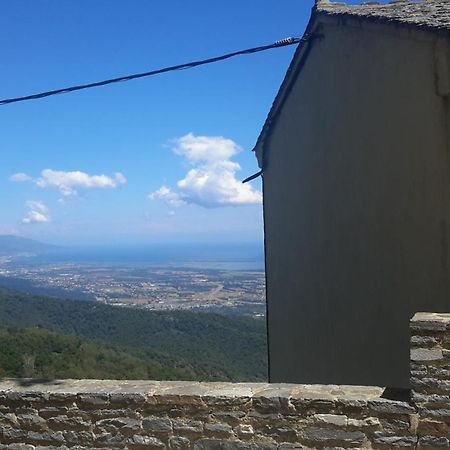 Gite La Fontaine Corse Loreto-di-Casinca Buitenkant foto