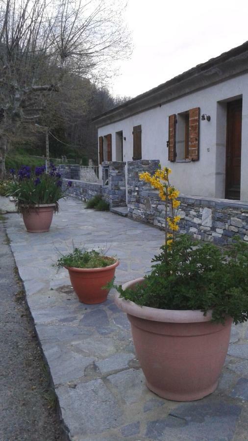 Gite La Fontaine Corse Loreto-di-Casinca Buitenkant foto